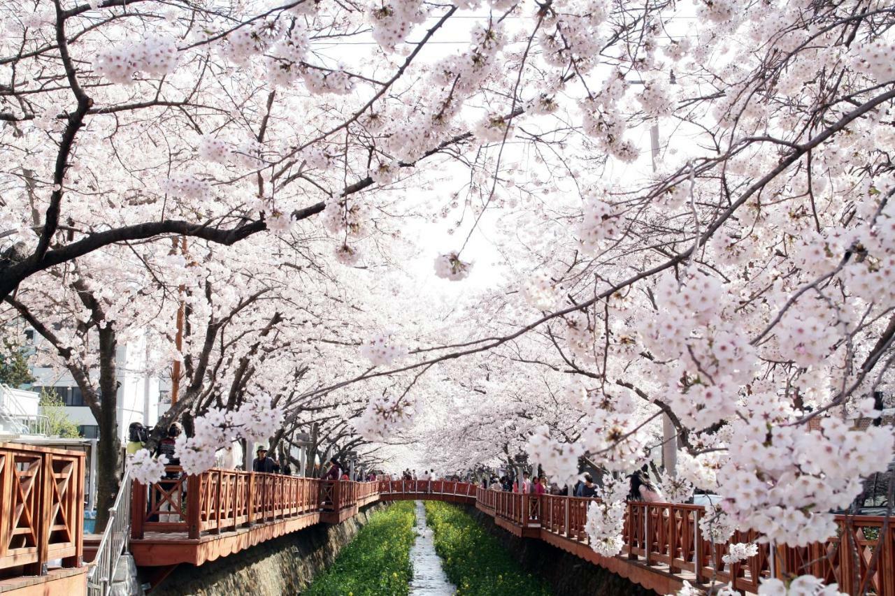 Hotel Avenue Changwon Exterior foto